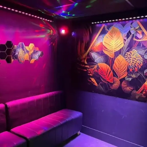 Réservation Karaoké Salle"Jungle" (7 pers max)