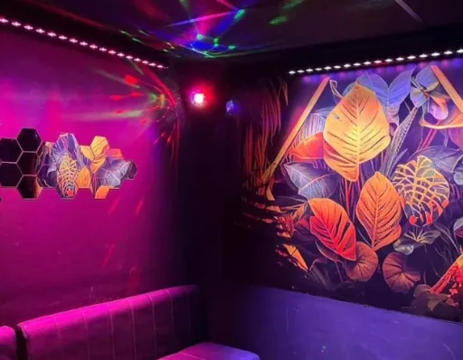 Réservation Karaoké Salle"Jungle" (7 pers max)
